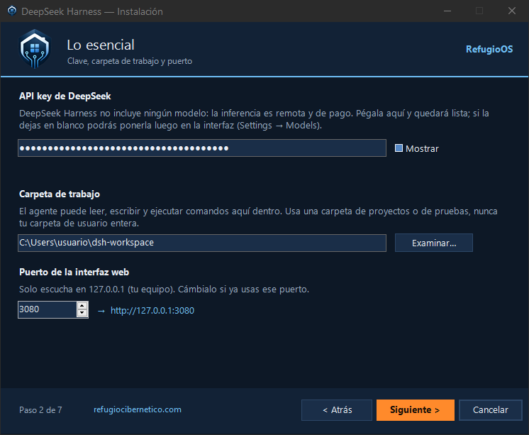 Asistente, paso 2: API key, carpeta de trabajo y puerto